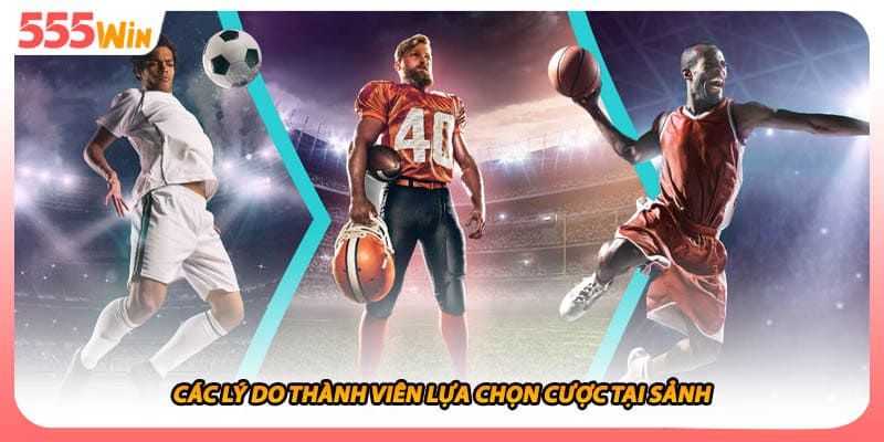 Các lý do thành viên lựa chọn cược tại sảnh
