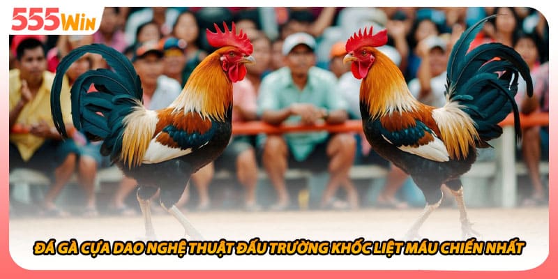 Đá Gà Cựa Dao Nghệ Thuật Đấu Trường Khốc Liệt Máu Chiến Nhất