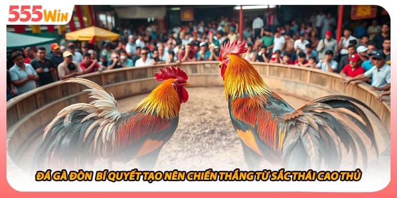Đá Gà Đòn Bí Quyết Tạo Nên Chiến Thắng Từ Sắc Thái Cao Thủ