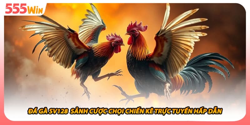 Đá Gà SV128 Sảnh Cược Chọi Chiến Kê Trực Tuyến Hấp Dẫn