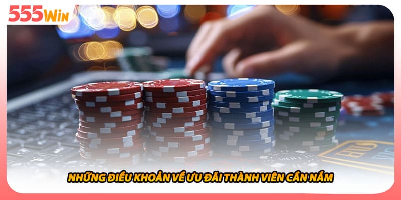 Những điều khoản về ưu đãi thành viên cần nắm