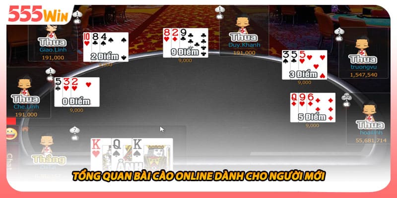 Tổng quan bài cào online dành cho người mới
